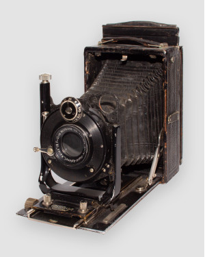 Contessa Nettel №504636