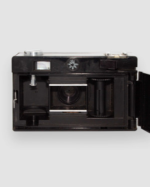 Вилия №2065178